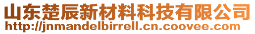 山東楚辰新材料科技有限公司