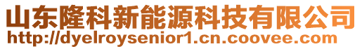 山東隆科新能源科技有限公司