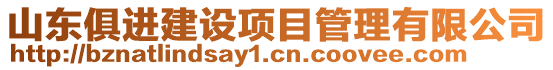 山東俱進(jìn)建設(shè)項(xiàng)目管理有限公司