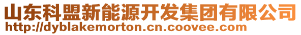 山東科盟新能源開(kāi)發(fā)集團(tuán)有限公司