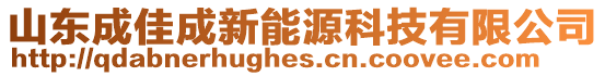 山東成佳成新能源科技有限公司