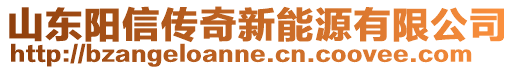 山東陽信傳奇新能源有限公司