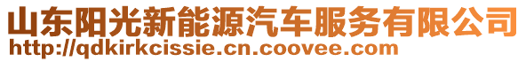 山東陽光新能源汽車服務有限公司