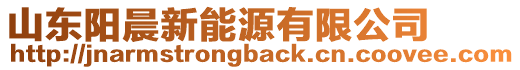 山東陽晨新能源有限公司