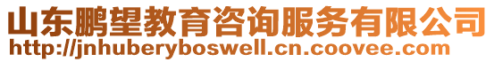 山東鵬望教育咨詢服務(wù)有限公司