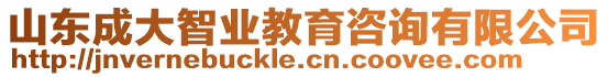 山東成大智業(yè)教育咨詢有限公司