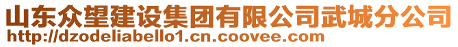 山東眾望建設集團有限公司武城分公司