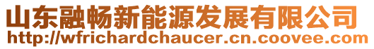 山東融暢新能源發(fā)展有限公司