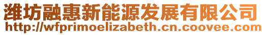 濰坊融惠新能源發(fā)展有限公司