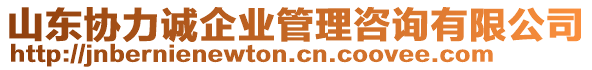 山東協(xié)力誠企業(yè)管理咨詢有限公司