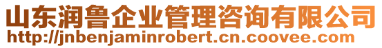 山東潤魯企業(yè)管理咨詢有限公司