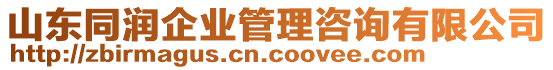 山東同潤企業(yè)管理咨詢有限公司