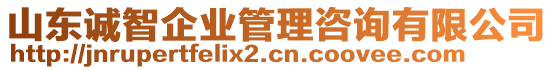 山東誠智企業管理咨詢有限公司