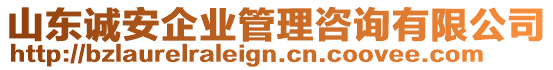 山東誠安企業(yè)管理咨詢有限公司