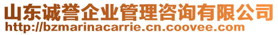 山東誠譽(yù)企業(yè)管理咨詢有限公司