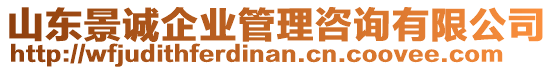 山東景誠企業(yè)管理咨詢有限公司