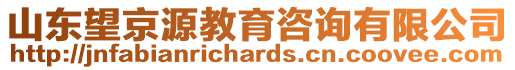 山東望京源教育咨詢有限公司