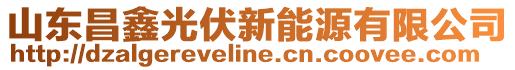 山東昌鑫光伏新能源有限公司