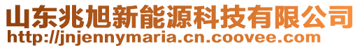 山東兆旭新能源科技有限公司