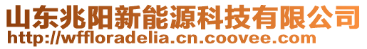 山東兆陽新能源科技有限公司