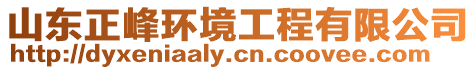 山東正峰環(huán)境工程有限公司