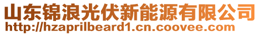 山東錦浪光伏新能源有限公司