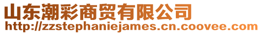 山東潮彩商貿有限公司