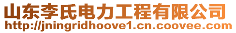 山東李氏電力工程有限公司