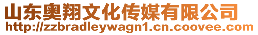 山東奧翔文化傳媒有限公司
