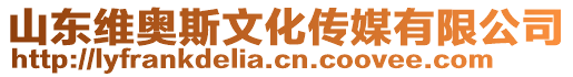 山東維奧斯文化傳媒有限公司