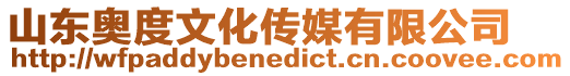 山東奧度文化傳媒有限公司