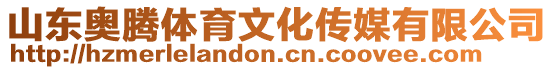 山東奧騰體育文化傳媒有限公司