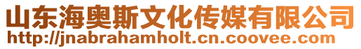 山東海奧斯文化傳媒有限公司