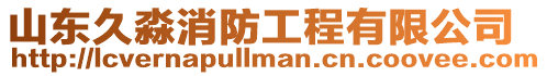 山東久淼消防工程有限公司