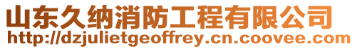 山東久納消防工程有限公司