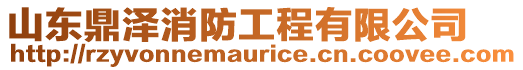 山東鼎澤消防工程有限公司