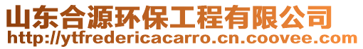 山東合源環(huán)保工程有限公司