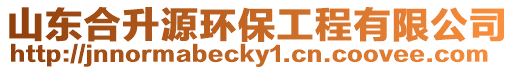 山東合升源環(huán)保工程有限公司