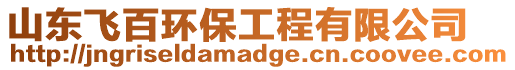 山東飛百環保工程有限公司