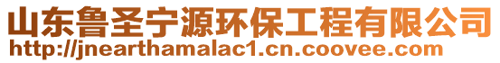山東魯圣寧源環(huán)保工程有限公司