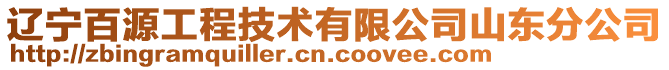 遼寧百源工程技術有限公司山東分公司