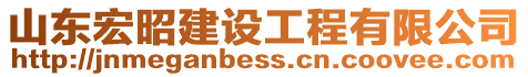 山東宏昭建設(shè)工程有限公司