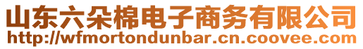 山東六朵棉電子商務有限公司