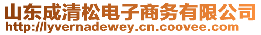山東成清松電子商務(wù)有限公司