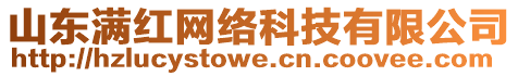 山东满红网络科技有限公司