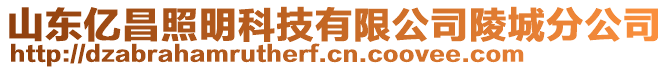 山東億昌照明科技有限公司陵城分公司