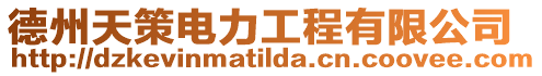 德州天策電力工程有限公司