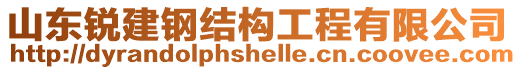 山東銳建鋼結構工程有限公司