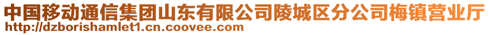 中國移動通信集團山東有限公司陵城區(qū)分公司梅鎮(zhèn)營業(yè)廳