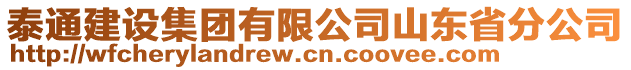 泰通建設(shè)集團(tuán)有限公司山東省分公司